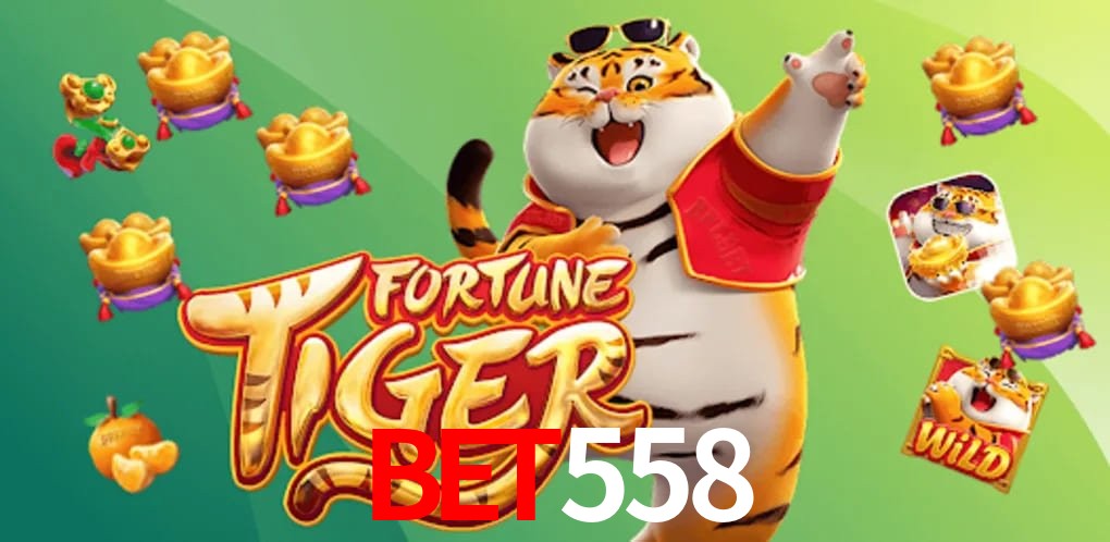 Experiência VIP bet558